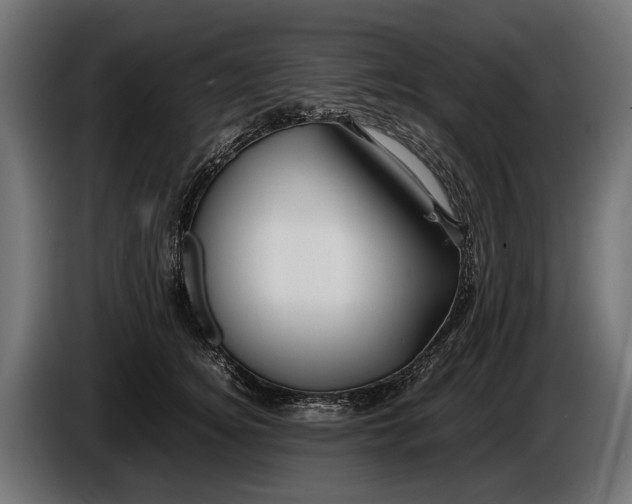 X0000086080756200704132103