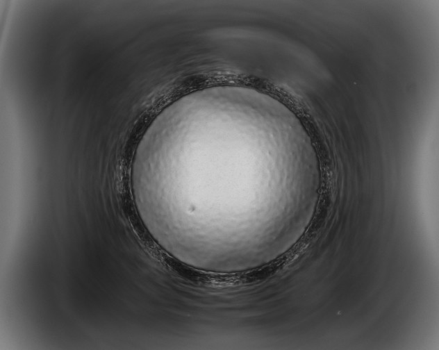 X0000086080757200704132103