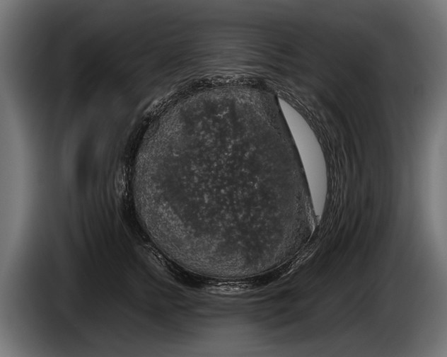 X0000086080758200704132103