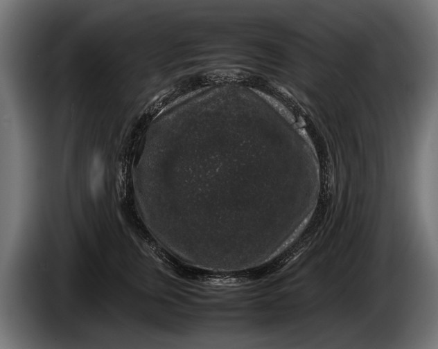 X0000086080759200704132103