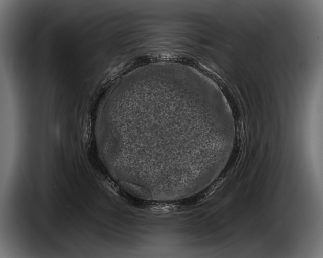 X0000086080760200704132103