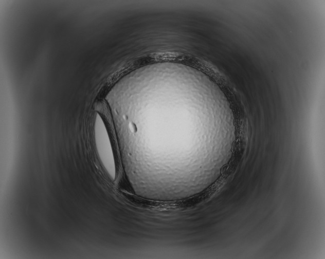 X0000086080761200704132103