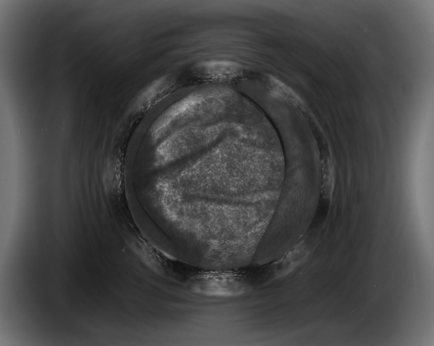 X0000086080762200704132103