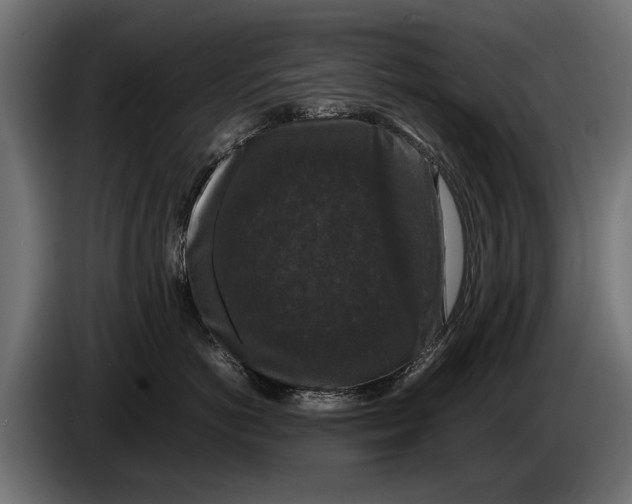 X0000086080766200704132103