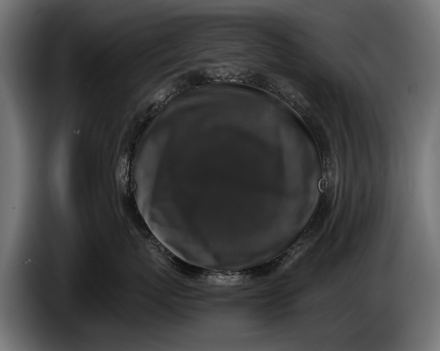 X0000086080767200704132103