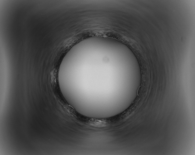 X0000086080768200704132103