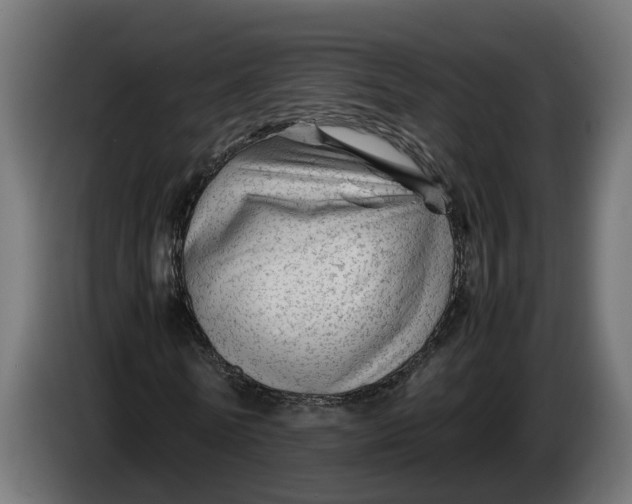 X0000086080770200704132102