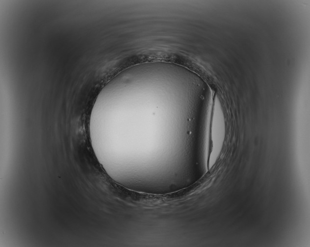 X0000086080771200704132102