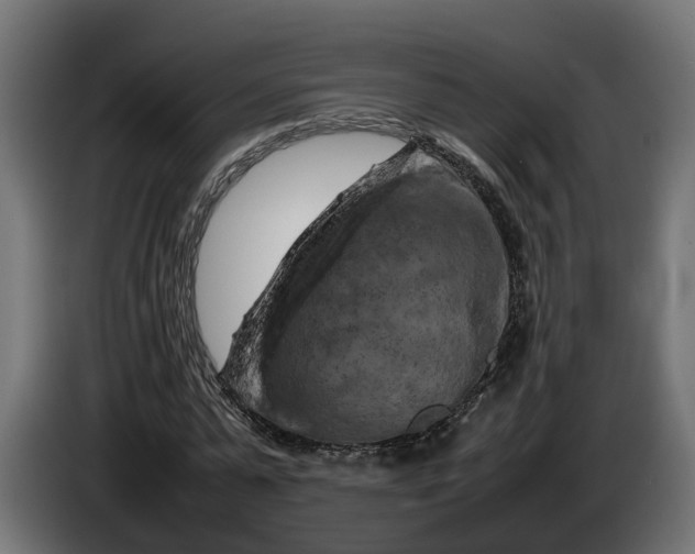 X0000086080775200704132102