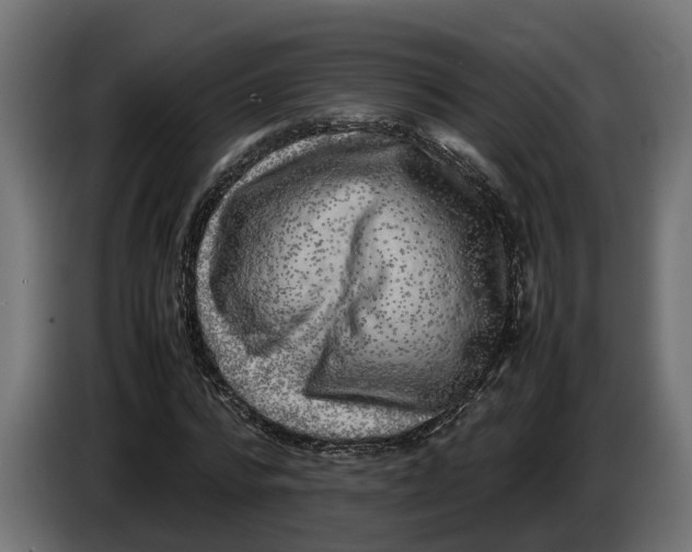 X0000086080776200704132102