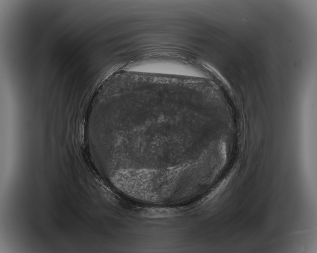 X0000086080777200704132102