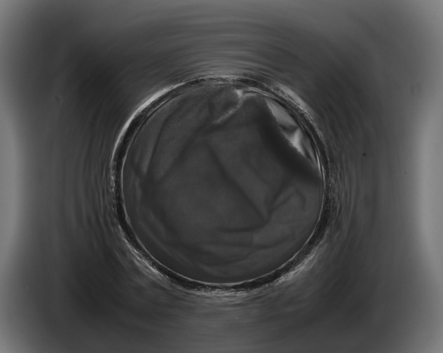 X0000086080779200704132102