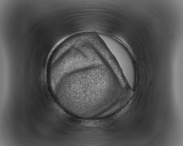 X0000086080780200704132102