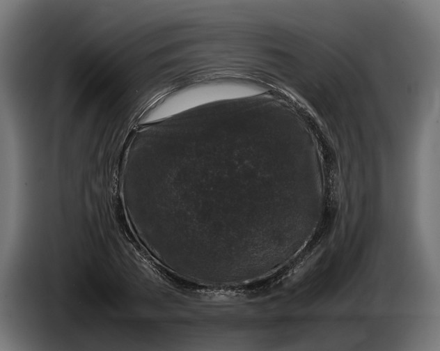 X0000086080785200704132102