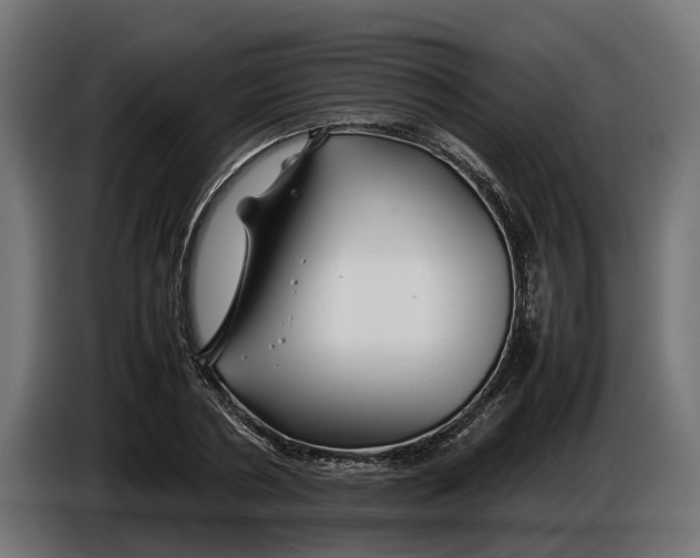 X0000086080786200704132102