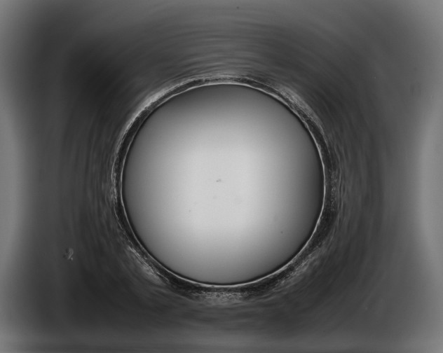 X0000086080789200704132102