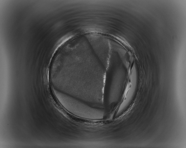 X0000086080790200704132102