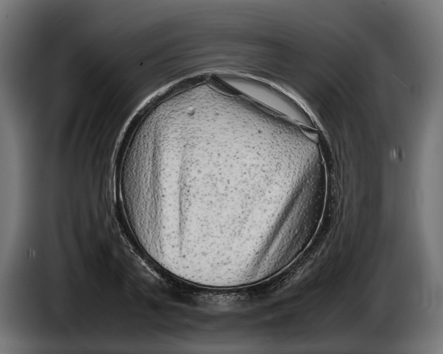 X0000086080791200704132102