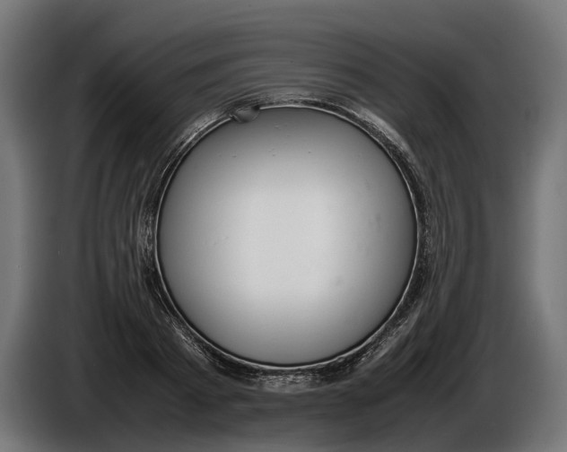 X0000086080793200704132102