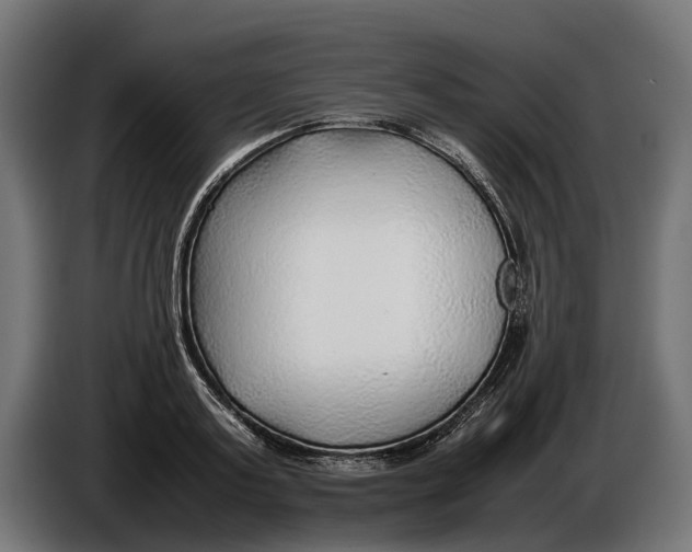 X0000086080795200704132102