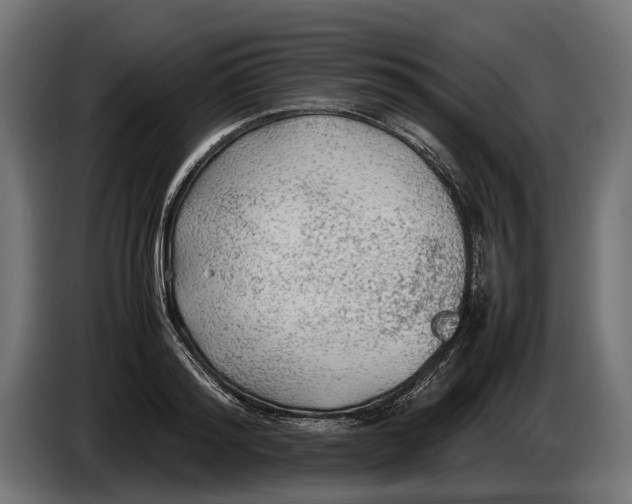 X0000086080796200704132102