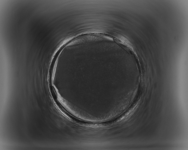 X0000086080797200704132102