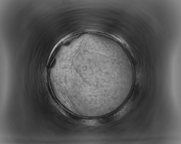 X0000086080798200704132102