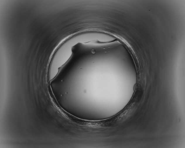 X0000086080799200704132102