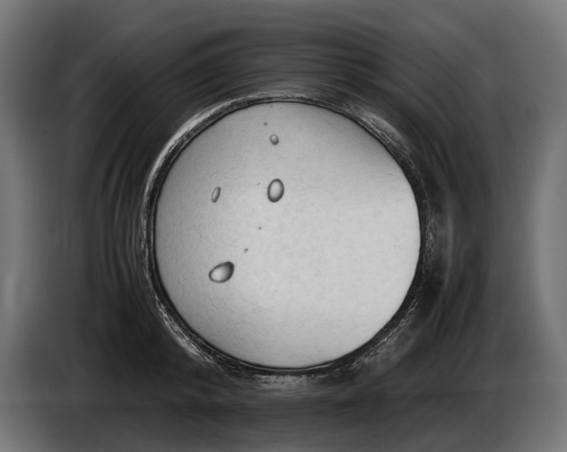 X0000086080800200704132102