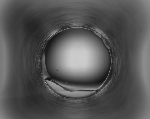 X0000086080801200704132102