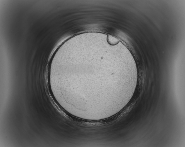 X0000086080804200704132102