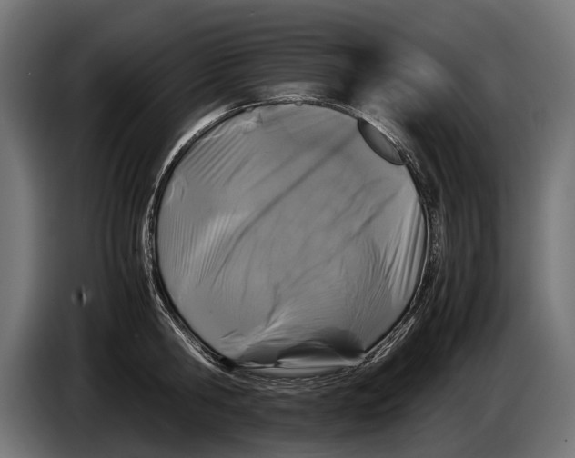 X0000086080806200704132102