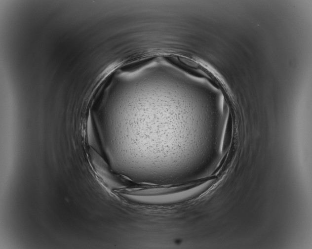 X0000086080809200704132102