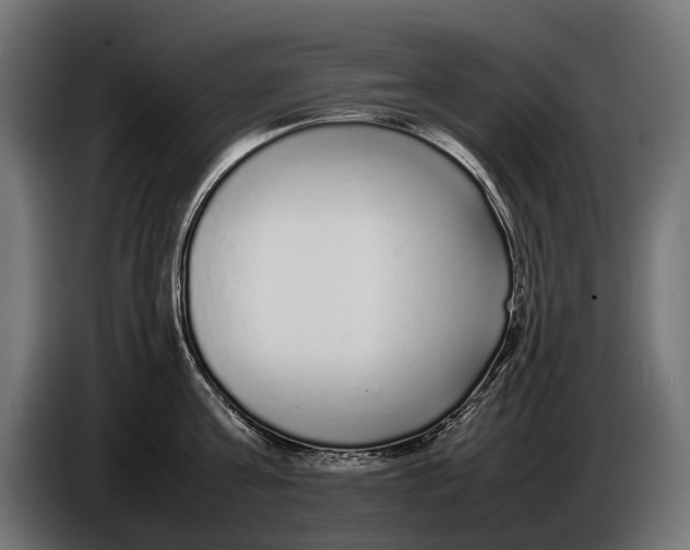 X0000086080811200704132102