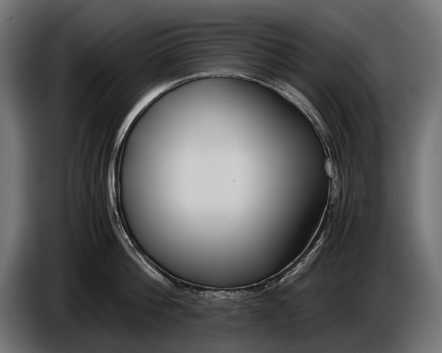 X0000086080812200704132102