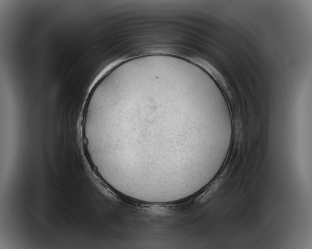 X0000086080814200704132102