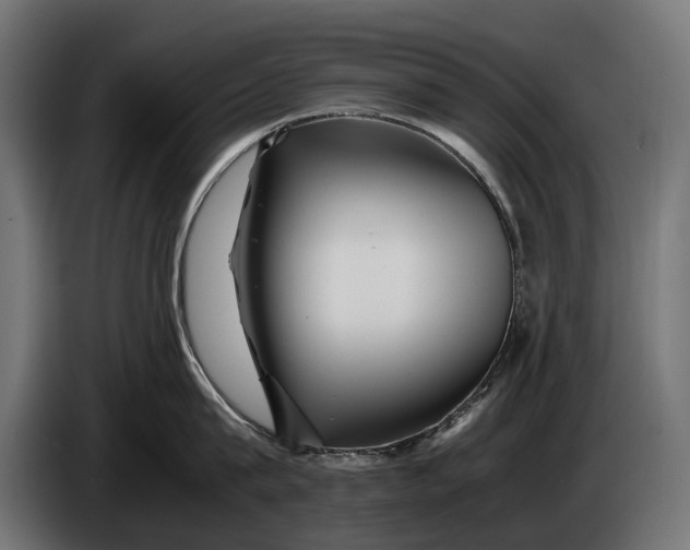 X0000086080815200704132102