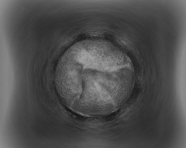 X0000086080817200704132101