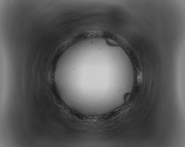 X0000086080819200704132101