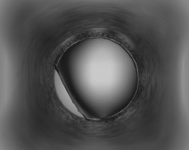 X0000086080821200704132101