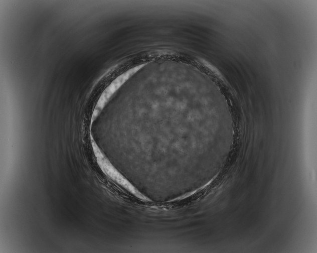 X0000086080823200704132101