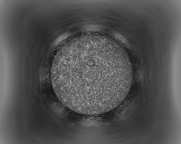 X0000086080824200704132101