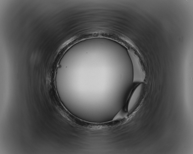 X0000086080826200704132101