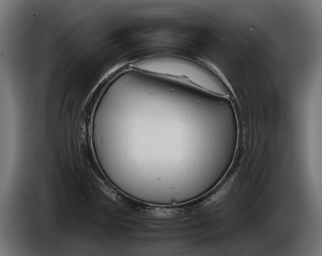 X0000086080827200704132101