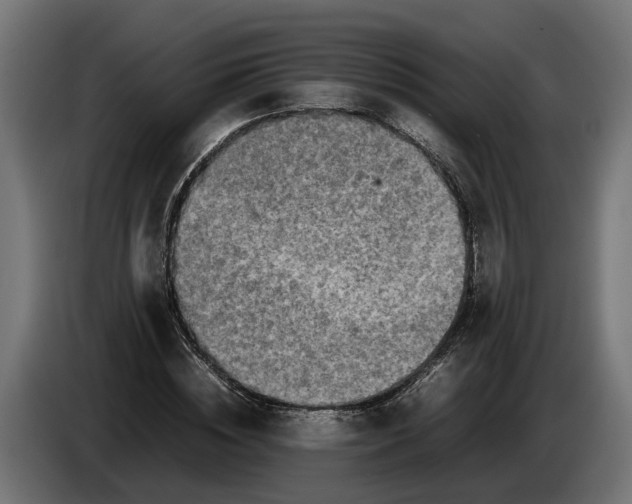 X0000086080828200704132101