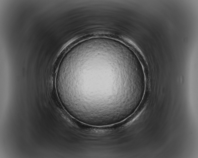 X0000086080829200704132101