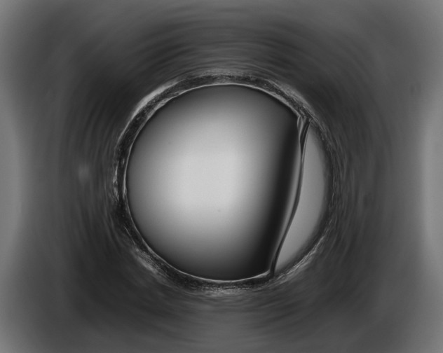 X0000086080830200704132101