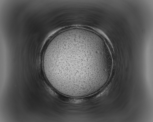 X0000086080831200704132101