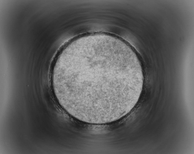 X0000086080832200704132101