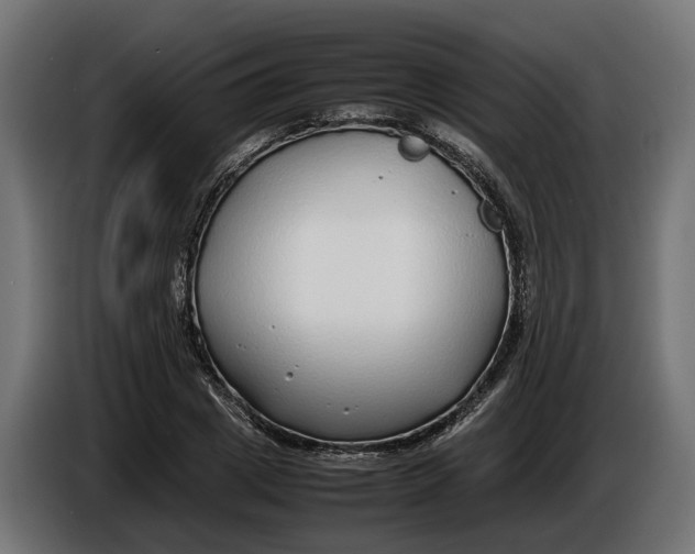 X0000086080833200704132101